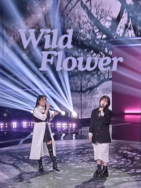 Wild Flower Wild Flower