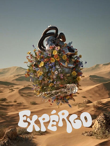 EXPERGO EXPERGO