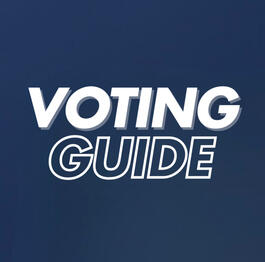 VOTING GUIDE